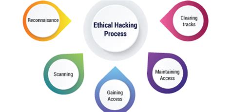 Ethical Hacking Phases - Techradix Technology