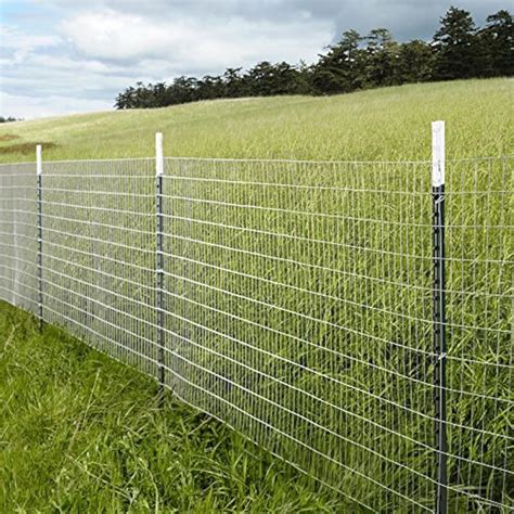 MTB Galvanized Welded Wire Mesh Garden Economy Fence 48" X50'-2"x3 ...