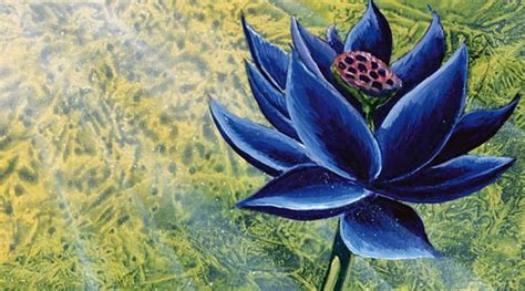 MTGNexus - Black Lotus Art by Christopher Rush