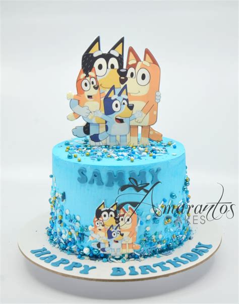 Best Small Bingo & Bluey Cake Melbourne - Amarantos Cakes-AA61