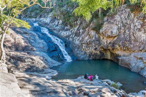 National Park Odyssey: Tamborine Mountain, Tamborine National Park, QLD.