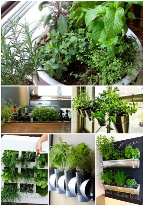 18 Best Ways To Grow Food Indoors