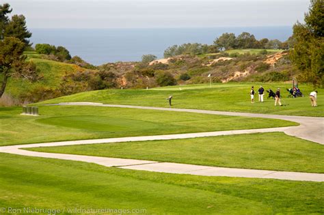 Torrey Pines Golf Course | Photos by Ron Niebrugge