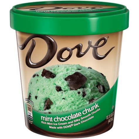 Dove Mint Chocolate Chunk Ice Cream, 15.10 fl oz - Fry’s Food Stores