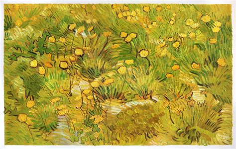 A Field of Yellow Flowers - Vincent van Gogh Paintings