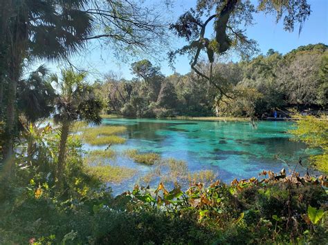 Rainbow Springs State Park - Go Wandering