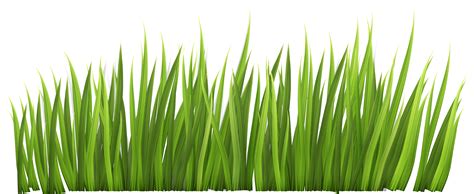 Grass clip art free free clipart images 2 - Cliparting.com