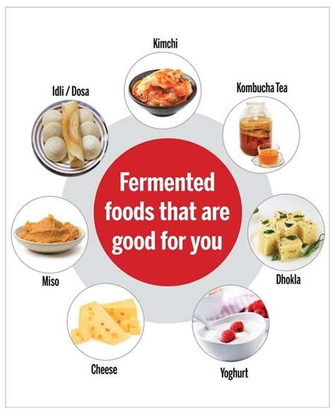 All you need to know about fermented foods | Femina.in