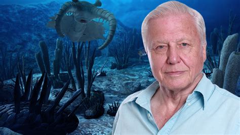 Watch David Attenborough's First Life Online - Stream Full Episodes