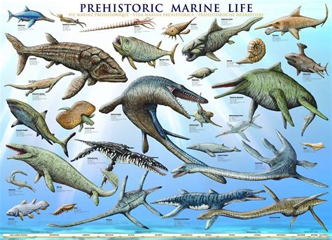 Prehistoric Marine Reptiles