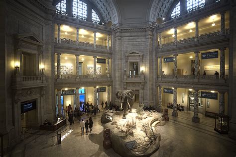 Smithsonian Natural History Museum, Washington DC