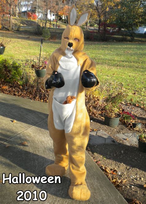 Kangaroo costume with a Joey in the pouch! | Diy costumes, Kangaroo ...