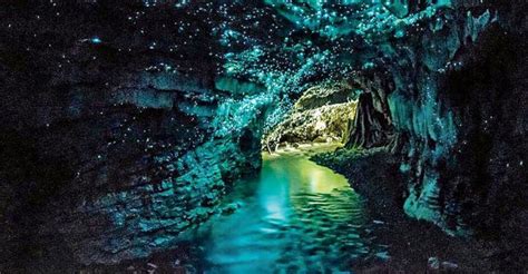 Inside Waitomo Caves: New Zealand Glowworm Caves