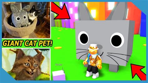 Pet Simulator Big Cat Code Roblox