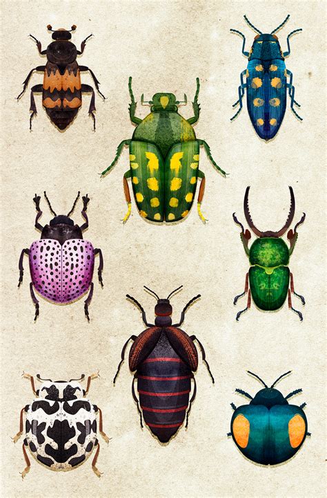 BEETLES. Illustration. on Behance