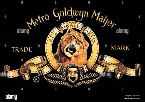 Metro Goldwyn Mayer Lion Vector Clipart