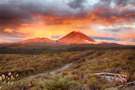 Tongariro Alpine Crossing | Tongariro National Park, Dual World ...