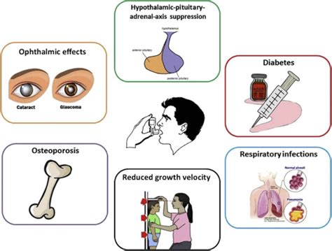 Inhaled Corticosteroids Safety and Adverse Effects in Patients with ...