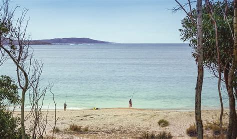 Depot Beach campground | NSW National Parks