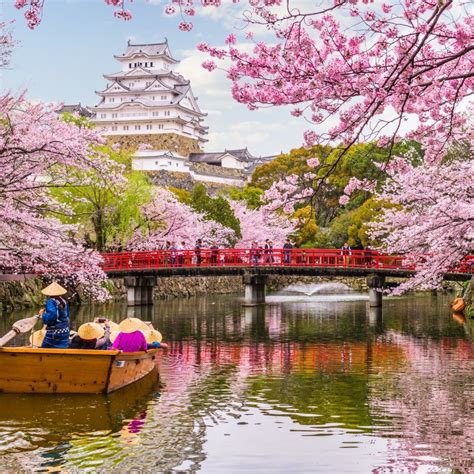 10 Tips for a Visit During the Cherry Blossom Season in Japan ...