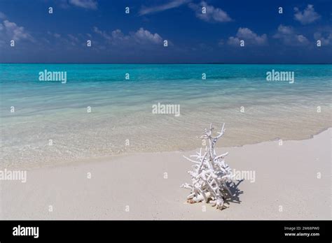 beautiful exotic landscape in the Maldives islands Stock Photo - Alamy