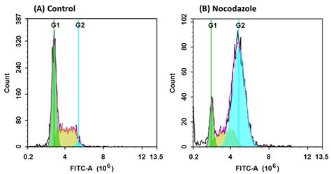 Cell Cycle Assays | AAT Bioquest