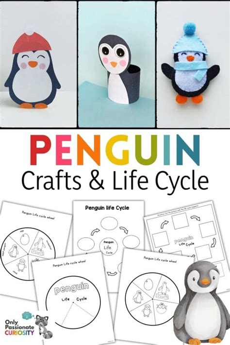 3 Penguin Crafts & Life Cycle Study