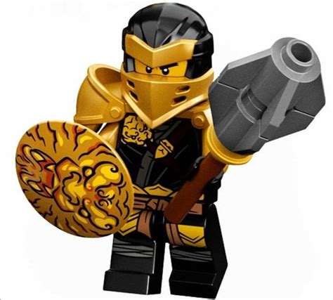 Cole | Ninjago Wiki | Fandom