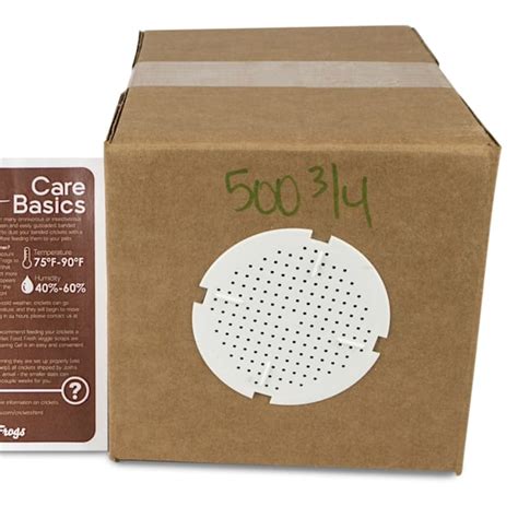 Banded Crickets - 3/4", 500 Count | Petco