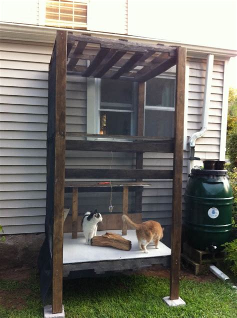 Homemade Outdoor Cat Enclosure - Millie Diy