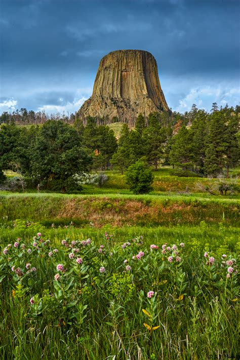 Devil's Tower Page