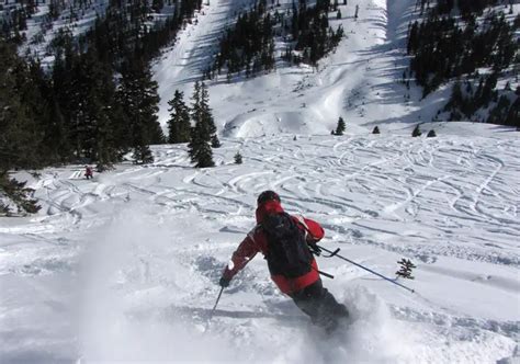 Silverton Ski Area | Silverton Ski Resort Terrain Ratings