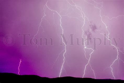 Purple Lightning – Tom Murphy Photography