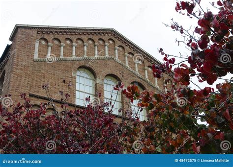 UCLA building stock image. Image of ucla, fall, bricks - 48472575