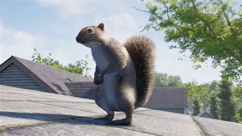 This Killer Squirrel Game Has The Internet Going Wild