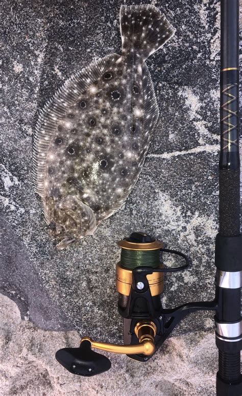 Caught this out of season Flounder today : r/Fishing