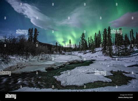 Northern lights above Fish Lake, Whitehorse, Yukon, Canada Stock Photo ...