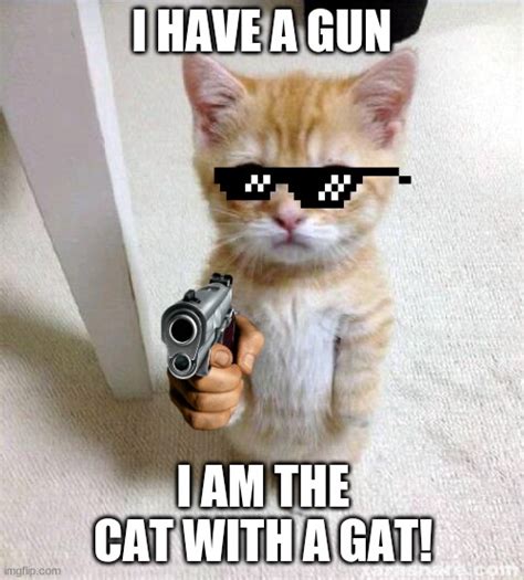 Cat Holding Gun Meme