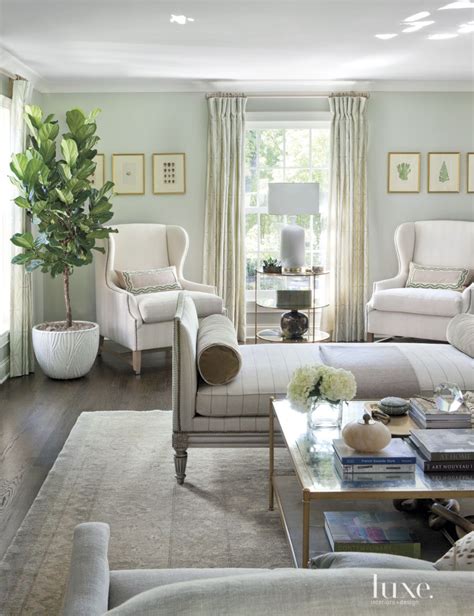 Transitional Pale Green Living Room with Antique Rug - Luxe Interiors ...