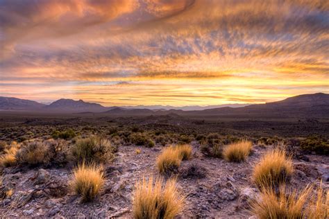 Green grass on desert during sunset HD wallpaper | Wallpaper Flare