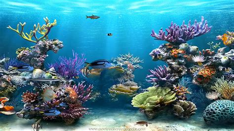 Animated Underwater Wallpaper - WallpaperSafari