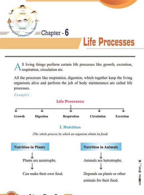 the life cycle of an animal is shown in this diagram