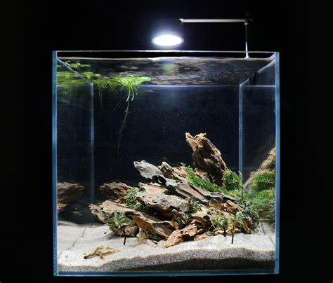 Dragon Stone (Ohko) Aquarium Landscape, Aquascape Aquarium, Home ...