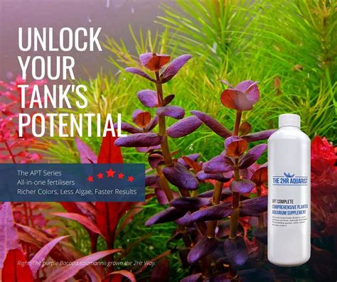 Planted Aquarium Fertilizer Guide & (Dosing, Calculators, How-To & FAQ ...