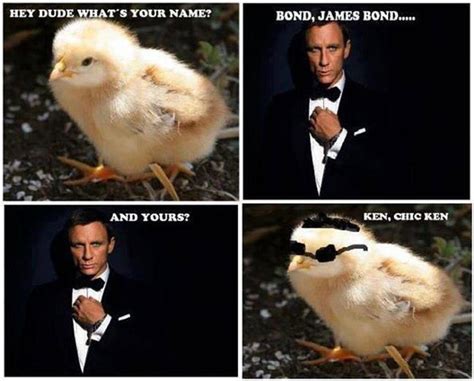 James Bond Quotes Humorous. QuotesGram