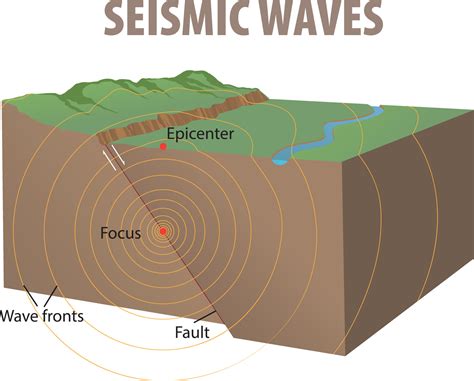 Earthquake Wave Diagram