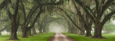 Charleston, South Carolina, US