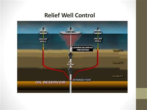 Petroleum Geology