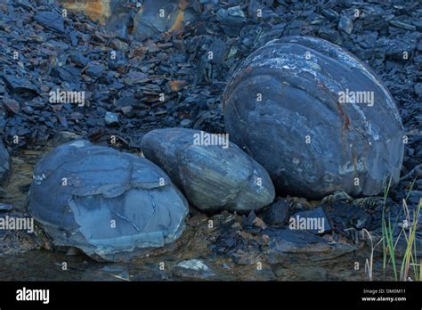 Marcellus shale, near Marcellus New York, source of natural gas ...