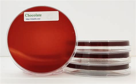 Chocolate Agar | CBSAlife